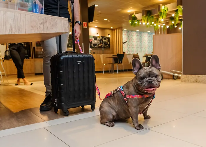 Hotel Ibis Moinhos De Vento